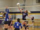 PREP VOLLEYBALL: Lady Aggies sweep tri-match with Holly Pond, Cold Springs