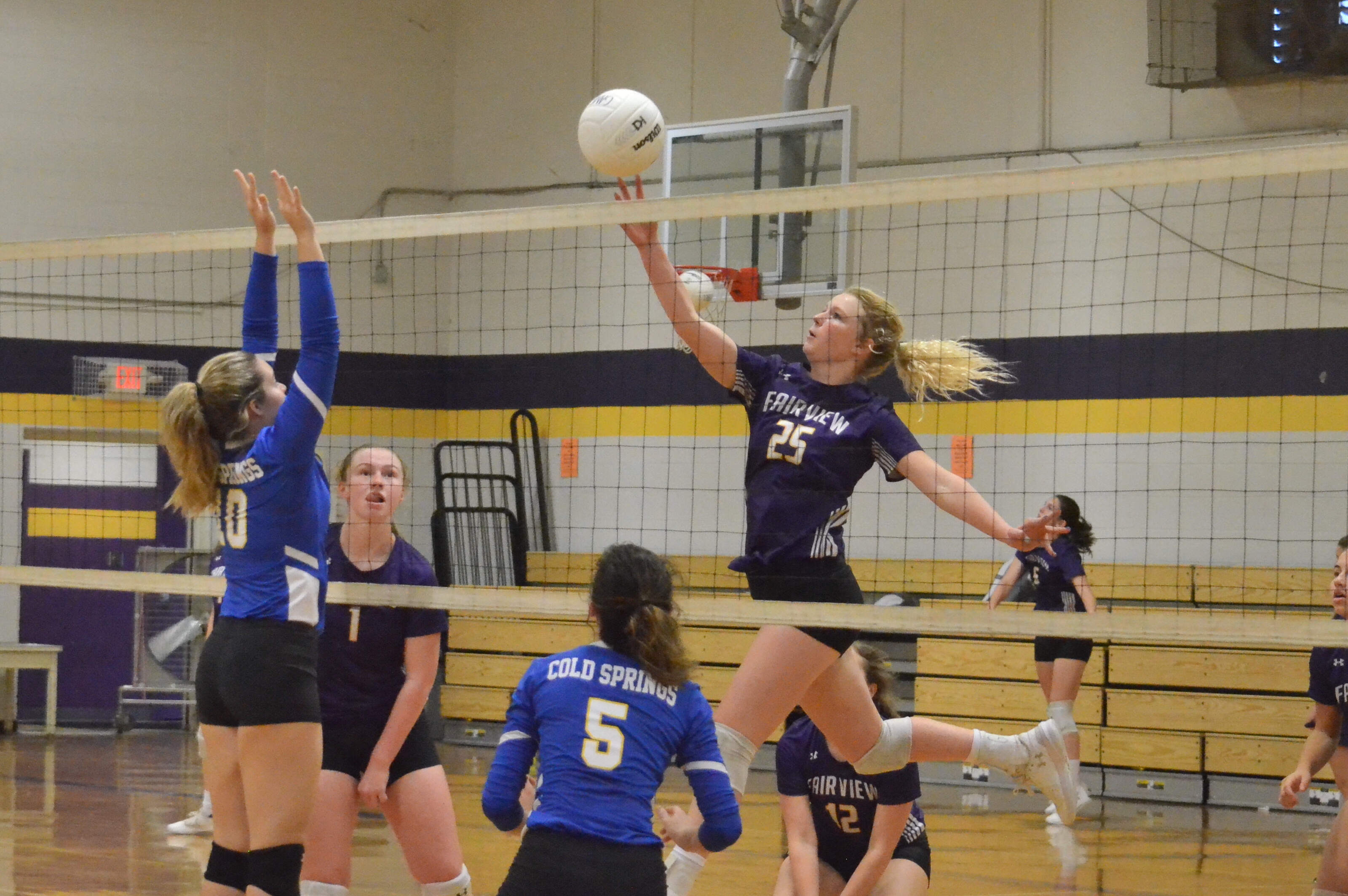PREP VOLLEYBALL: Lady Aggies sweep tri-match with Holly Pond, Cold ...
