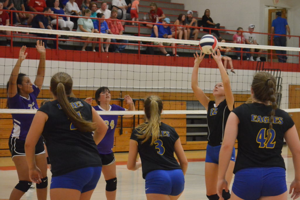 PREP VOLLEYBALL Cold Springs sweeps trimatch at Vinemont, Lady