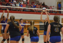 PREP VOLLEYBALL: Cold Springs sweeps tri-match at Vinemont, Lady Warriors collect area win