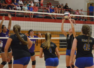 PREP VOLLEYBALL: Cold Springs sweeps tri-match at Vinemont, Lady Warriors collect area win