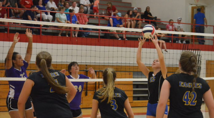 PREP VOLLEYBALL: Cold Springs sweeps tri-match at Vinemont, Lady Warriors collect area win