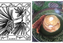 67-County Alabama Garden Party: Calhoun County