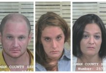 (Update) 3 arrested after high-speed chase across Cullman County ends near Baileyton