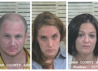 (Update) 3 arrested after high-speed chase across Cullman County ends near Baileyton
