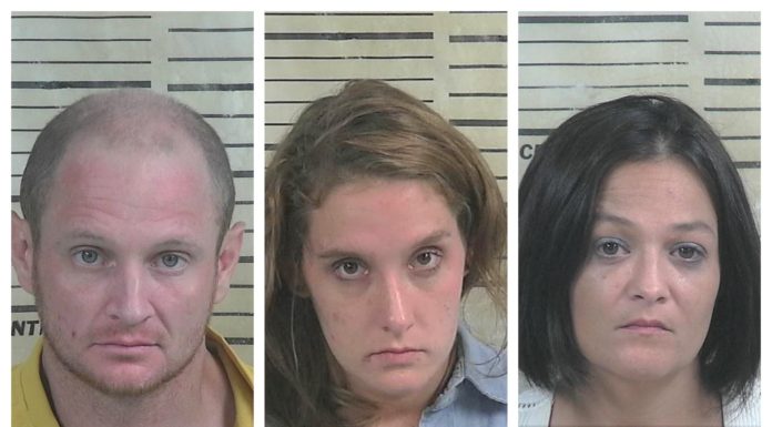 (Update) 3 arrested after high-speed chase across Cullman County ends near Baileyton