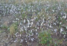 USDA resources available for farmers hurt by 2018, 2019 disasters