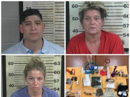 3 Vinemont residents charged after search yields meth, marijuana