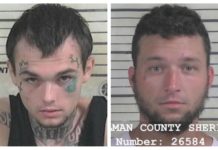 Pair leads Hanceville PD, CCSO on chase, crashes into CCSO vehicle