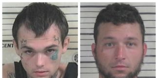 Pair leads Hanceville PD, CCSO on chase, crashes into CCSO vehicle