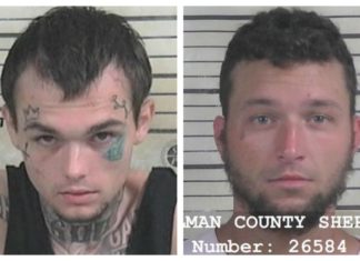 Pair leads Hanceville PD, CCSO on chase, crashes into CCSO vehicle