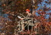 Complacency often leads to treestand, firearms accidents