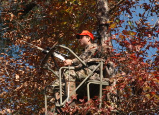 Complacency often leads to treestand, firearms accidents
