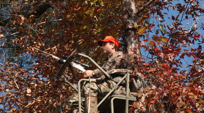Complacency often leads to treestand, firearms accidents