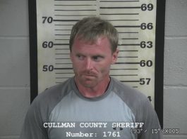 1 arrested, half-pound methamphetamine seized