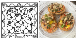 67-County Alabama Garden Party: Randolph County