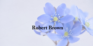 Obituary: Robert Brown