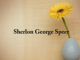 Obituary: Sherlon George Speer