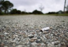 Litterbugs, beware: new law means higher fines, other penalties