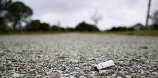 Litterbugs, beware: new law means higher fines, other penalties