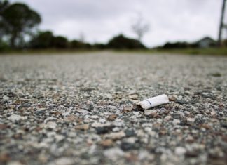 Litterbugs, beware: new law means higher fines, other penalties