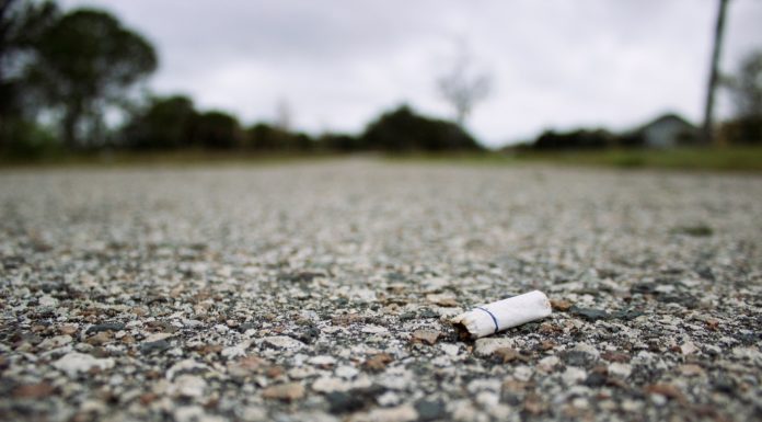 Litterbugs, beware: new law means higher fines, other penalties