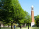 25 Cullman-area students earn degrees from the University of Alabama