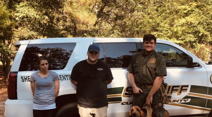 2 Vinemont residents apprehended, charged thanks to K-9 Deputy Copper