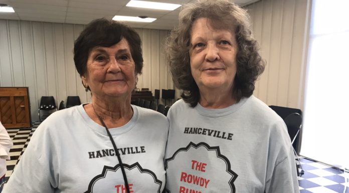 Seniors enjoy annual health fair