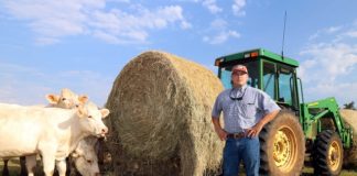 High heat, minimal moisture hurt yields, bottom line