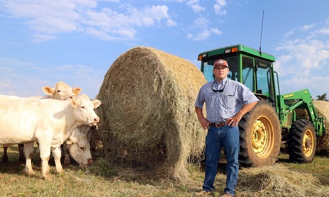 High heat, minimal moisture hurt yields, bottom line