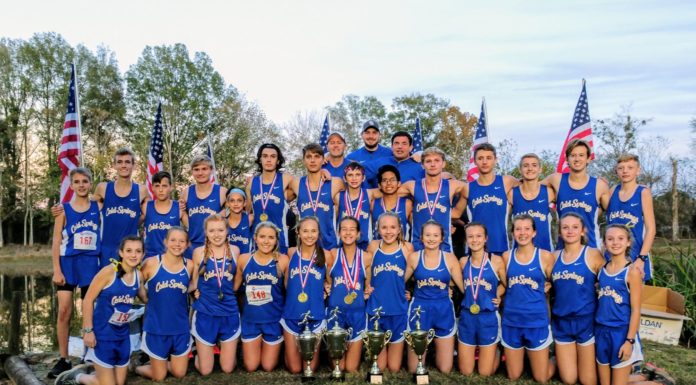 PREP CROSS COUNTRY: Cold Springs Eagles, Lady Eagles win county titles; Edgeworth, Chambers collect individual wins