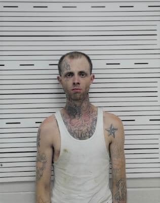 74471671_537855766979552_1437198779974418432_n