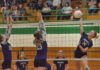 PREP VOLLEYBALL: Fairview sweeps tri-match with Holly Pond, Susan Moore