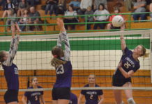 PREP VOLLEYBALL: Fairview sweeps tri-match with Holly Pond, Susan Moore