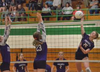 PREP VOLLEYBALL: Fairview sweeps tri-match with Holly Pond, Susan Moore