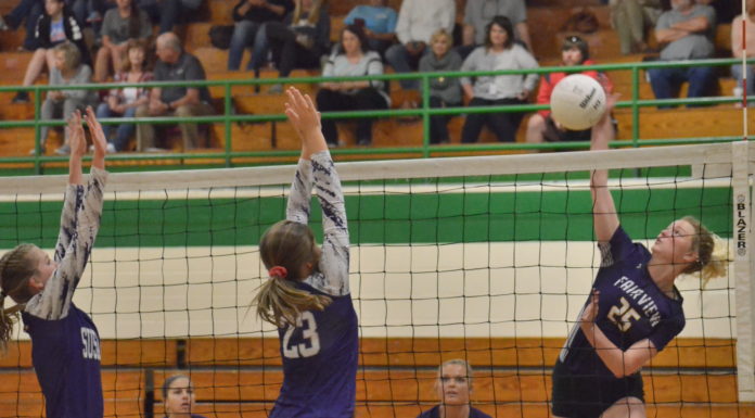 PREP VOLLEYBALL: Fairview sweeps tri-match with Holly Pond, Susan Moore