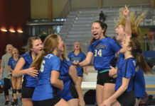 STATE VOLLEYBALL TOURNAMENT: Addison advances to Championship Match, Lady Aggies eliminated in Quarterfinals