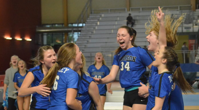 STATE VOLLEYBALL TOURNAMENT: Addison advances to Championship Match, Lady Aggies eliminated in Quarterfinals