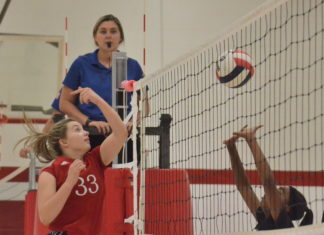 PREP VOLLEYBALL: Vinemont sweeps area match with East Lawrence to extend win streak