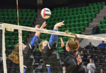 STATE VOLLEYBALL TOURNAMENT: Addison falls to G.W. Long in State Championship Match