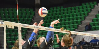 STATE VOLLEYBALL TOURNAMENT: Addison falls to G.W. Long in State Championship Match