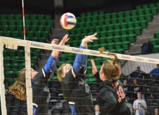STATE VOLLEYBALL TOURNAMENT: Addison falls to G.W. Long in State Championship Match