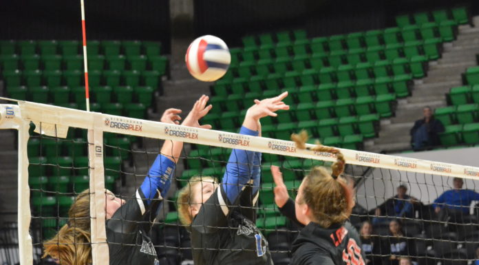 STATE VOLLEYBALL TOURNAMENT: Addison falls to G.W. Long in State Championship Match