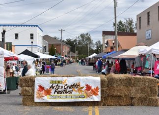 Local author to debut second book at Hanceville festival