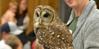 Whoooo? Owls a hoot at North Alabama Agriplex