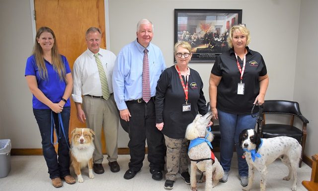 Cullman Courts going to the dogs, again!