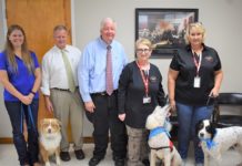 Cullman Courts going to the dogs, again!