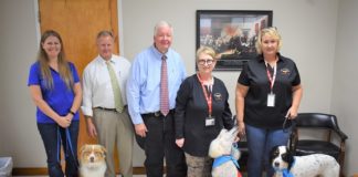 Cullman Courts going to the dogs, again!