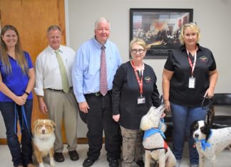 Cullman Courts going to the dogs, again!